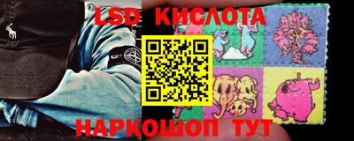 шишки Будённовск
