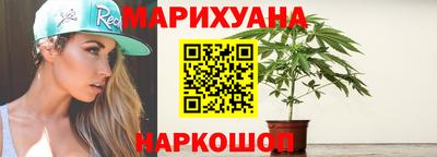 шишки Будённовск