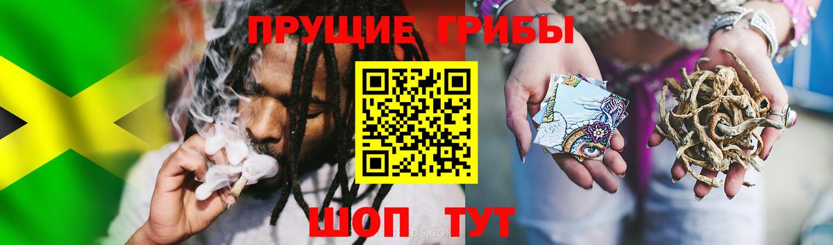 Галлюциногенные грибы Psilocybe  Вход с VPN  Тара 