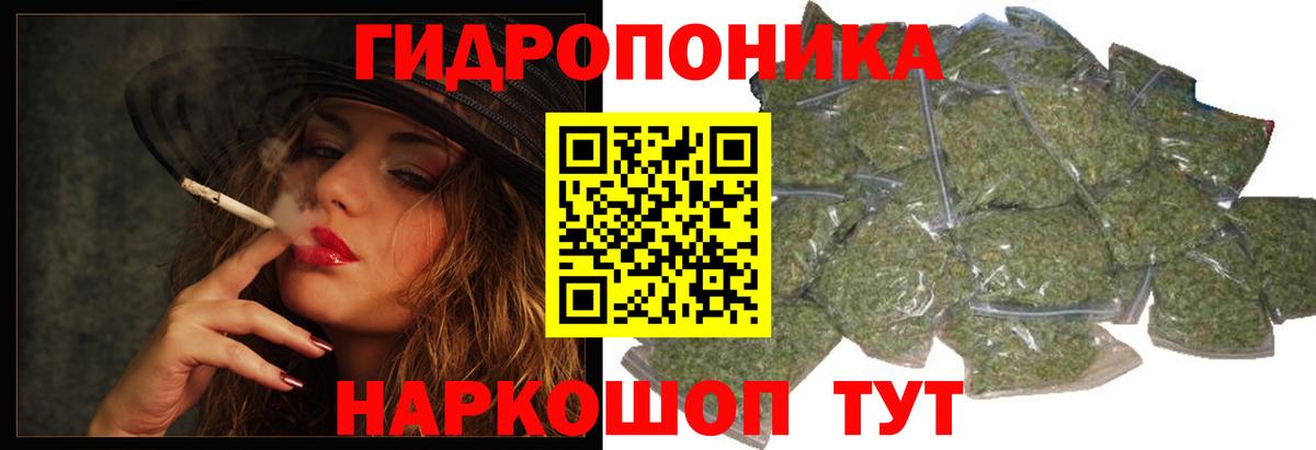 Шишки марихуана OG Kush  Канабис сатива  Вход с VPN  МАРИХУАНА SATIVA & INDICA  Тара 